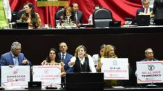 Apoyado por diputado del PT, activista sube a la tribuna de la Cámara de Diputados