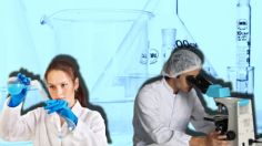 La farmacéutica Roche impulsa la investigación clínica