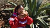 Foto ilustrativa de la nota titulada: El pueblo mágico a tres horas de CDMX en donde podrás probar el mejor pulque de todo el país