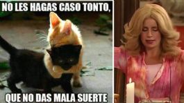 Foto que representa a Los mejores MEMES por el martes 13, día considerado de mala suerte