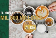 Foto ilustrativa de nota 2 mil 500 millones de tazas de café se consumen diariamente en el mundo