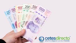 Foto que representa a Cetes: cuánto dinero debes invertir para terminar el año con un millón de pesos