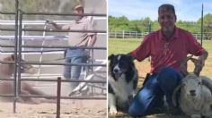 Revelan causa de muerte de Shawn Frehner, veterinario acusado de crueldad animal y hallado sin vida en Nevada