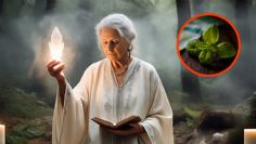 La poderosa planta que sirve para sazonar y proteger tu hogar