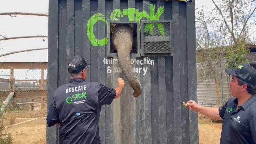 Más de 700 animales silvestres serán trasladados a Mazatlán por inseguridad en Santuario en Culiacán