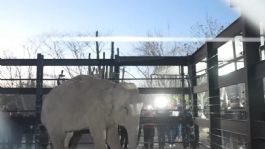 Foto que representa a Bioparc Mazatlán, se proyecta como el santuario de vida silvestre más importante de Latinoamérica