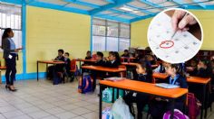 SEP 2025: ¿Qué alumnos del nivel básico finalizarán el ciclo escolar el viernes 4 de julio?