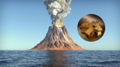 Científicos aseguran que hay muchas probabilidades de confirmar una millonaria noticia en el mundo