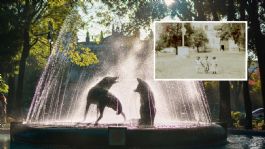 Foto que representa a Así era Coyoacán hace más de 100 años; 5 lugares emblemáticos en FOTOS