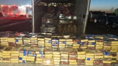 Sedena y Guardia Nacional aseguran camión con 700 kilos de cocaína en San Luis Río Colorado, Sonora