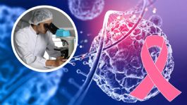 Foto que representa a Científicos trabajan en diseñar células inmunes que combaten al cáncer desde el interior del cuerpo