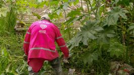 Foto que representa a GAM refuerza trabajos de desazolve para prevenir inundaciones