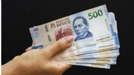Foto que representa a Visita Banxico y conoce cómo se fabrican los billetes; así puedes solicitar un recorrido en CDMX y Jalisco