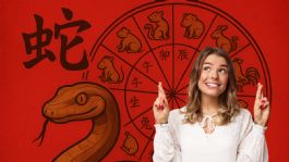 Foto que representa a Serpiente de madera: estos son los 3 signos del horóscopo chino que serán bañados con abundancia y prosperidad a partir del 1 de junio