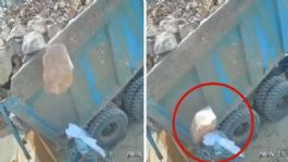Foto que representa a Hombre intenta descargar un camión y le cae una piedra en la cabeza | VIDEO