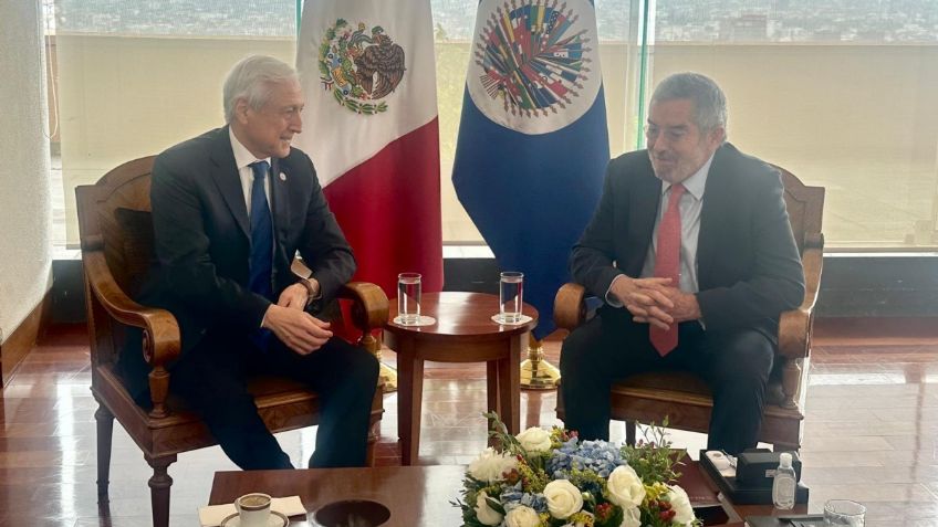 Canciller Juan Ramón de la Fuente se reúne con jefe de la Misión de Observación Electoral de la OEA