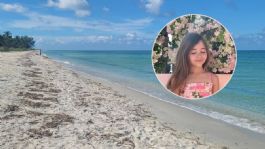 Foto que representa a Niña de 9 años pierde la mano tras brutal ataque de tiburón en playa de Florida