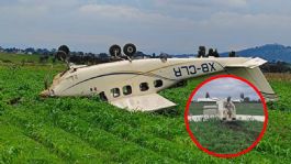 Foto que representa a Se estrella avioneta sobre campo de cultivos en la carretera México-Puebla
