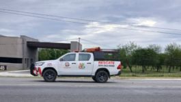 Foto que representa a Hallan sin vida a un oso negro tras ser atropellado en Carretera Nacional de Nuevo León
