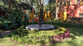 Foto que representa a Ni la Cineteca ni la Vasconcelos, este es el rincón más hermoso de la CDMX para disfrutar de una tarde de verano