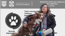 Foto que representa a CURP de mascotas ¿Qué hacer si me piden la RUAC de mi perro o gato en la calle? Esto dice la Ley