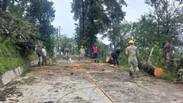 Foto que representa a Suman 51 derrumbes en carreteras de Hidalgo por lluvias