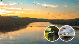 Foto que representa a Ni Compostela ni Jala, el pueblo mágico con manglares y cocodrilos para visitar en las vacaciones de verano