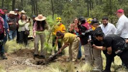 Foto que representa a Anuncia Clara Brugada la plantación de 10 millones de árboles y arbustos en suelo urbano en CDMX