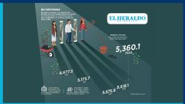 Foto que representa a Síndrome de Ovario Poliquístico: 50% de mujeres tienen problemas de infertilidad