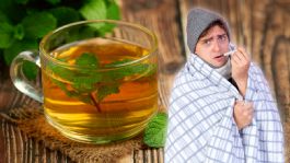 Foto que representa a 3 antibióticos naturales que te ayudarán a combatir enfermedades respiratorias